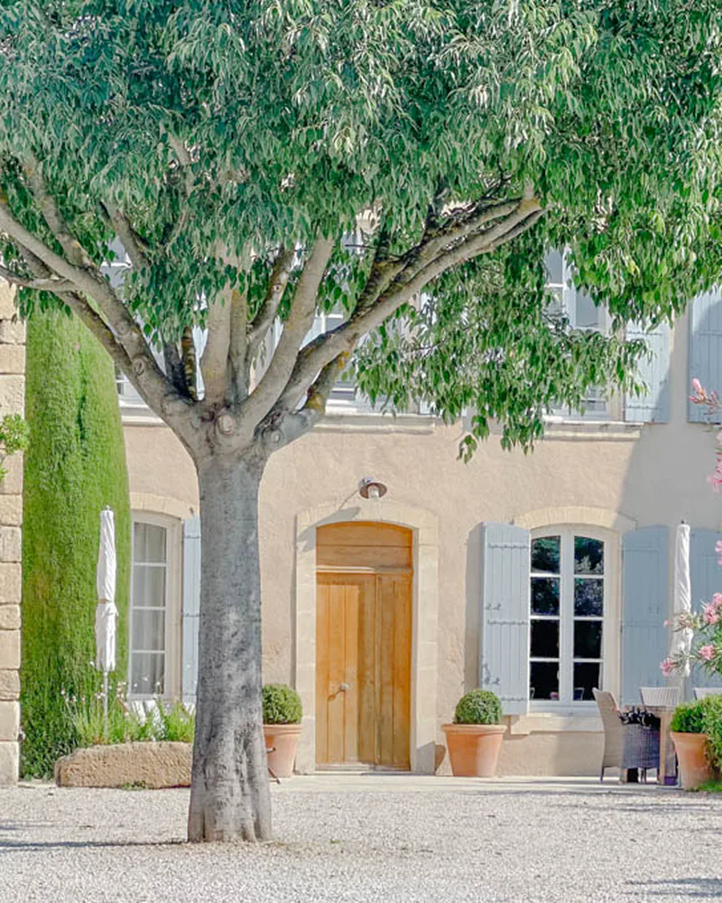 La porte d'entrée de la bastide, à l'ombre du grand arbre