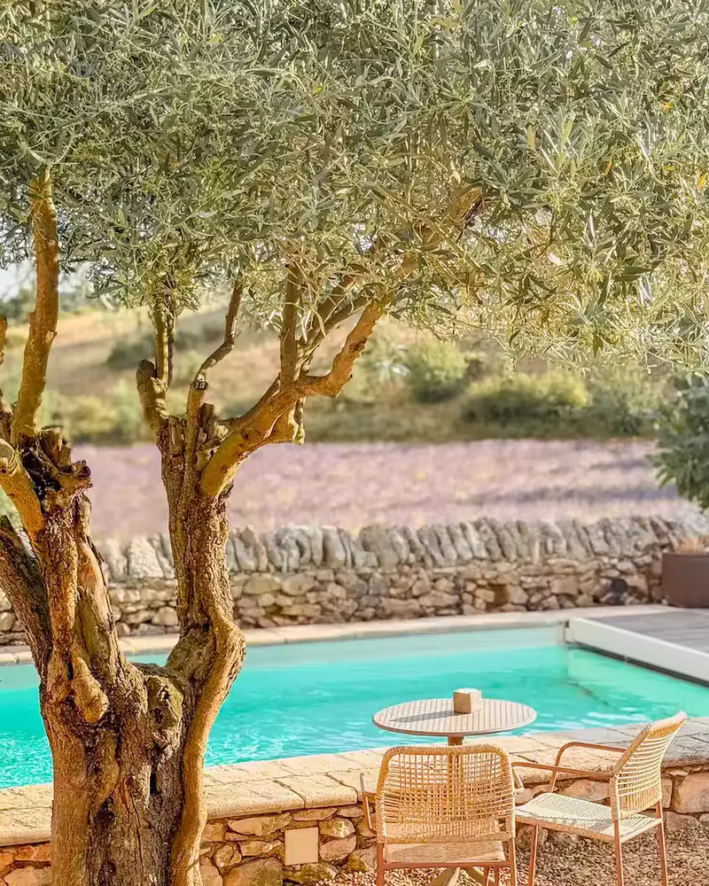 La piscine sous les oliviers, face aux lavandes, au Hameau de l'Esperelle