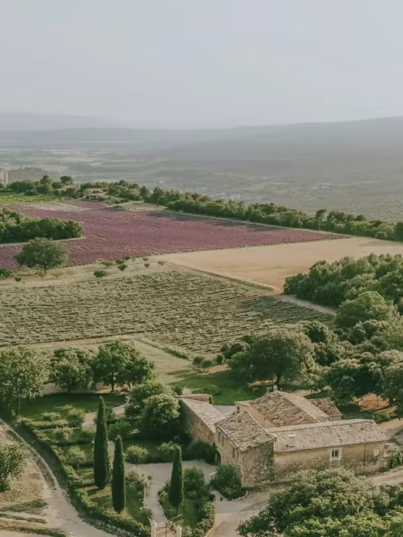 Panorama sur les champs de lavande, au Mas de Florette