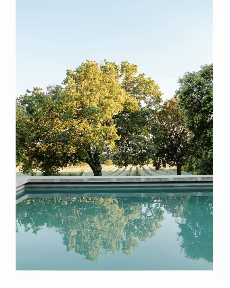 La piscine, à l'ombre des chênes verts, au Mas de Florette